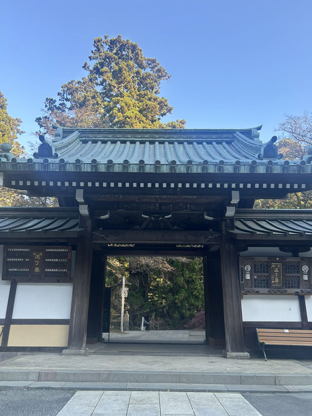 大雄山最乗寺入り口 大雄山最乗寺入り口