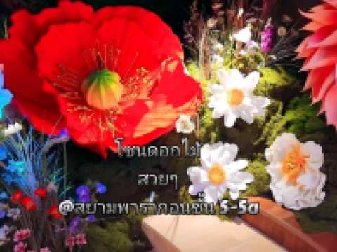 พื้นที่การจัดโซนดอกไม้ที่ NEXTOPIA สยามพารากอน