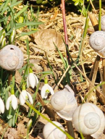 ทะเลสาบวาเลน