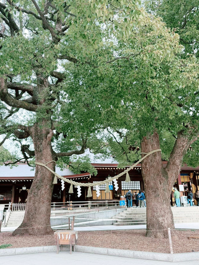 Tokyo Japan 🌸❤️🇯🇵