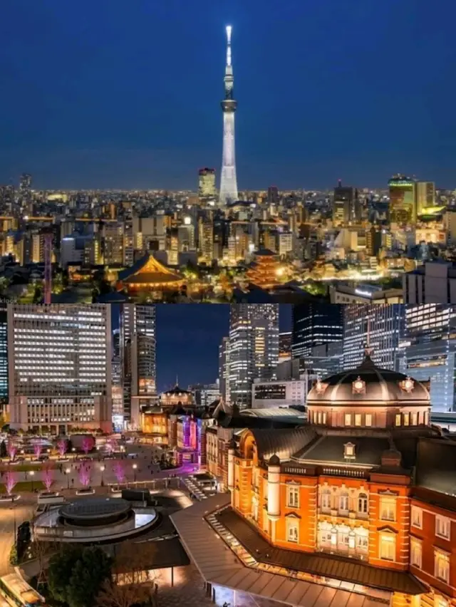 A Night More Memorable Than Disney, Urayasu.