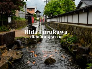 Experience the Atmosphere of Hida Furukawa.