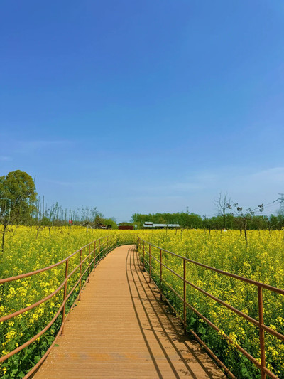 芜湖 蕪湖の超穴場スポット！大自然が広がる広大な癒しエリア。 | Trip.com 蕪湖