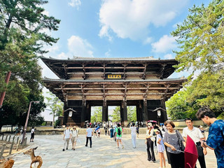 奈良公園。