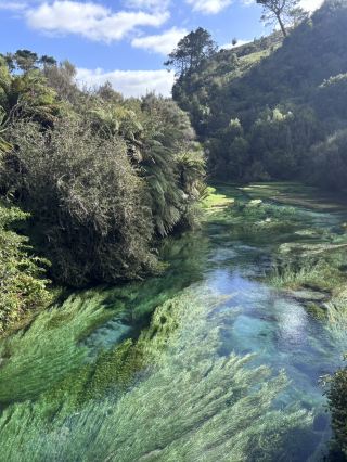 Must-Visit New Zealand North Island Spots: The Stunning Blue Spring & Geothermal Park.