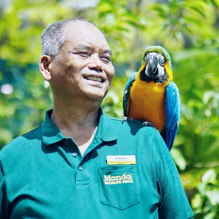 #localrules  

Singapore adventure unlocked! 🇸🇬 If you love wildlife, Mandai Wildlife Reserve is THE spot – think amazing animals, lush walks, and surprises at every turn.

Here’s how to make the most of a day at Mandai Wildlife Reserve:
Arrive early (opens 8:30 AM), so you’ll have plenty of time to roam. The entire address is 80 Mandai Lake Rd, Singapore 729826. Hours differ during special events (pro tip: always double-check before you go, but you can count on 8:30 AM to around 6:00 PM most of the year), and last entry’s at 11:15 PM, making evenings in the park extra magical. Entry’s S$200 – totally worth it for the experience!

Get ready for top-notch animal encounters, from rare creatures to familiar faves. Bring a water bottle (Singapore heat is REAL), comfy shoes, and a camera. Be sure to check out the night-time experiences if you can swing a late visit – animals are way more active and the park is beautifully lit.

Getting there: Easiest is a Grab or taxi, but public transport is easy and affordable (just ride the MRT to Khatib, then the Mandai Khatib Shuttle).

Food: There are snack carts and restaurants right inside, but you can pack some light bites – just remember not to feed the animals.

Key tip: Book your tickets with trip.com for quick access and avoid big lines at the ticket booth!

#singaporewildlife  #mandaiadventure  #familytravel  #asiadestinations 