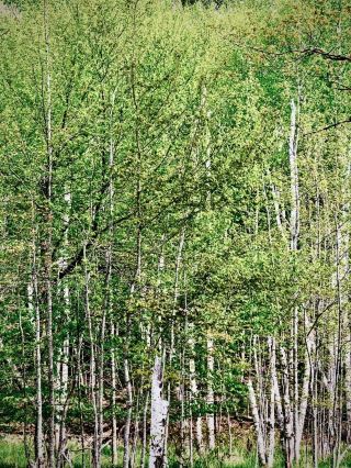 Russia Tuva Ergaki Nature Park Mossy Dragon's Tooth Ridgeeasytravelpost