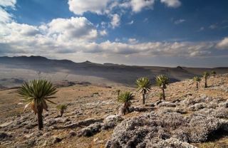 🇪🇹 Ethiopian Trekking Review