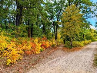 🍂 Autumn Elegance at Park Babelsberg 🏰🌿