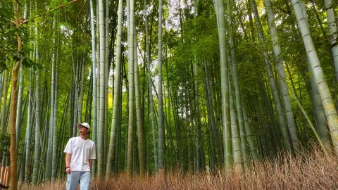 Kamakura - Tokyo, Japan — traveler post in Kamakura