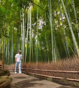 Kamakura - Tokyo, Japan 