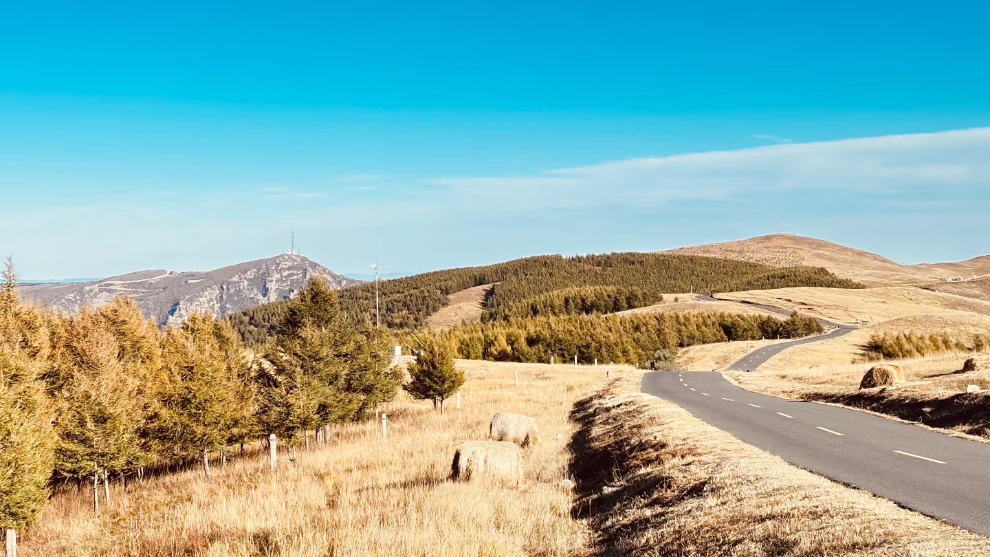 Hadamen National Forest Park: My Refreshing Alpine Forest Escape Near Hohhot