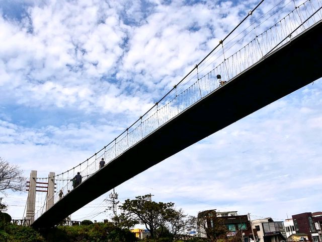 민물과 바닷물이 만나는 곳의 신비한 물색깔을 볼 수 있는 제주 용연계곡