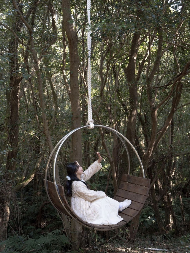 동화같은 숲속 마을에서 힐링하기🌿🛤