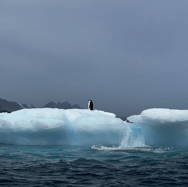 Antarctica, South Georgia, Falkland 