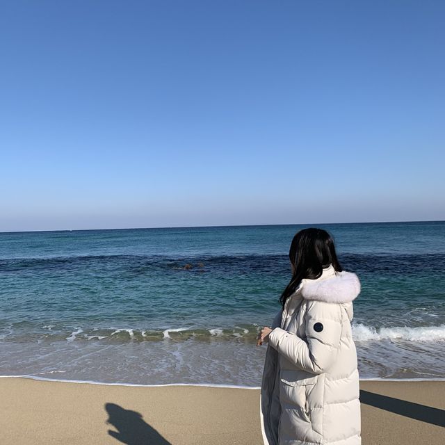 동해 바다 구경하기 좋은 강릉 강문해변🌊