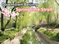 🌸🌳🍒Blossoms in Downtown Beijing! 🏙️