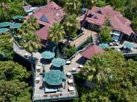 A Day of Fun at San Diego Zoo