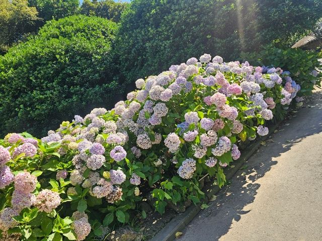 제주민속촌 가족들이 함께하기좋아요