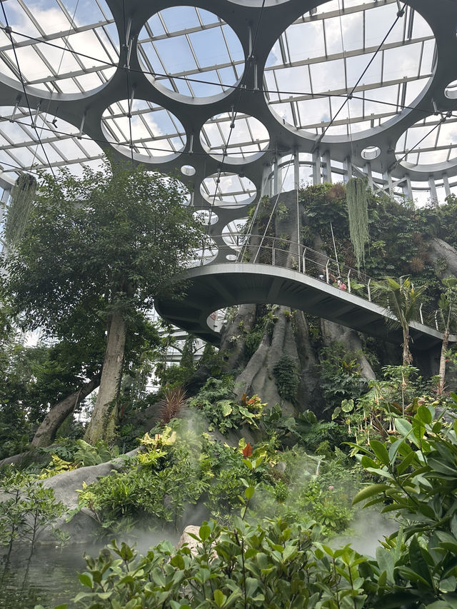 The Shanghai Expo Botanical Garden