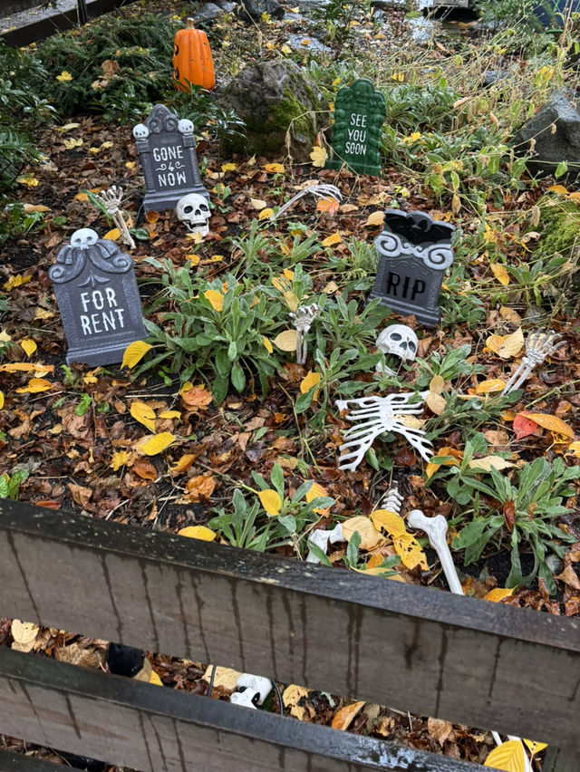 Rainy Seattle Halloween Decorations Starting Now 🌧️ 🎃 