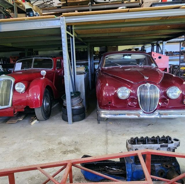 south coast munster south coast munster