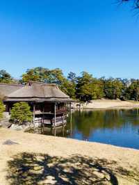 【滋賀県/玄宮園】