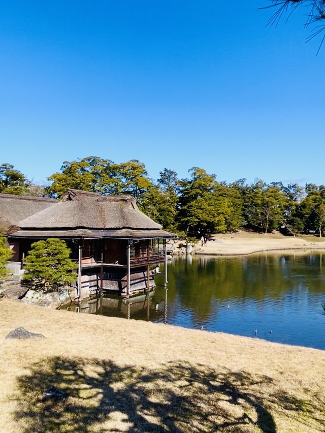 【滋賀県/玄宮園】
