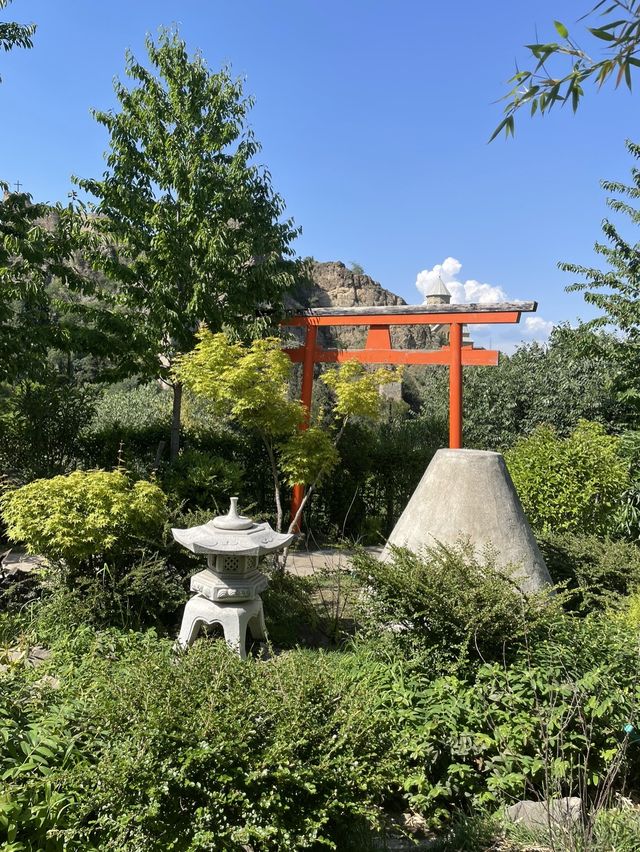 【ジョージア🇬🇪/自然豊かな巨大な植物園 】