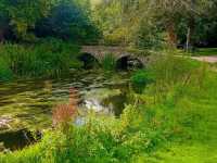 Doneraile Wildlife Park 🗺️