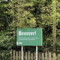 아일랜드 더블린 동물원, Dublin Zoo