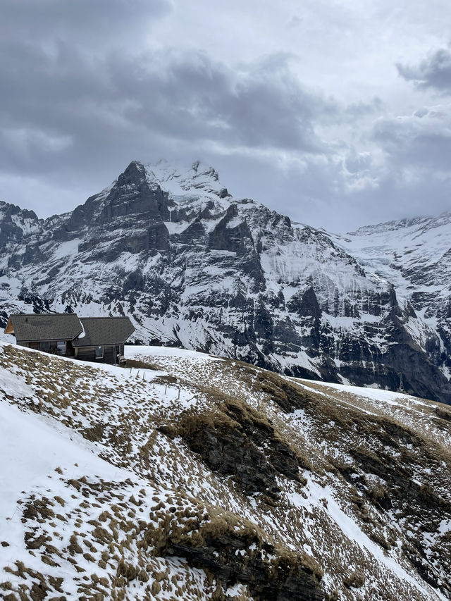 Amazing view in Grindelwalds Switzerland 🇨🇭
