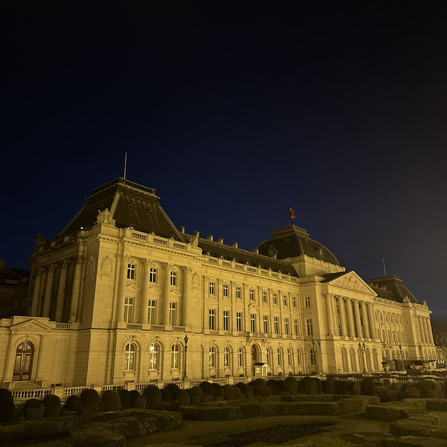 "Brussels in a Day: Chocs, Rocks, Delight!"