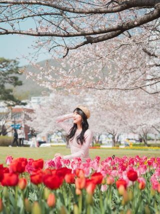 🌸 김해 연지공원 🌺