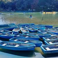 🛶保津川遊船碼頭🛶湖上泛舟享受嵐山的明媚風光🏞