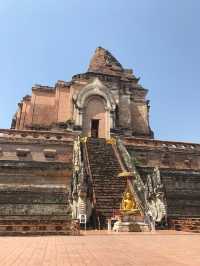 Captivating Chiang Mai