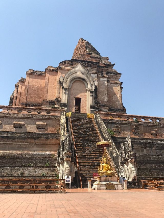 Captivating Chiang Mai