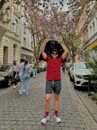 The altstadt 