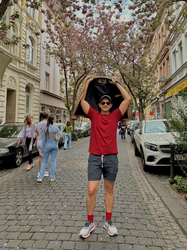 The altstadt 