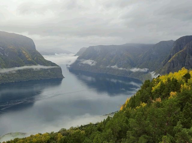 Norway Fjords & Travel tips💡 🇳🇴