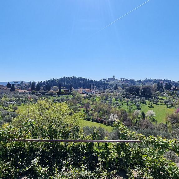 The best view of Florence