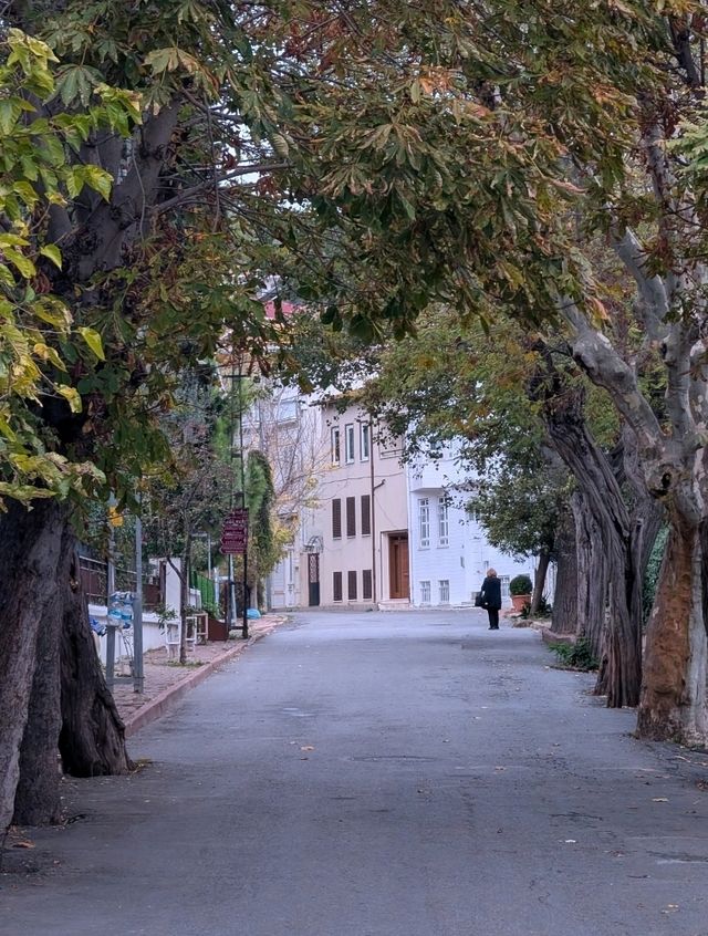Heybeliada: A Peaceful Escape from Istanbul