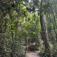 The Kakum National Park in Ghana 🇬🇭 