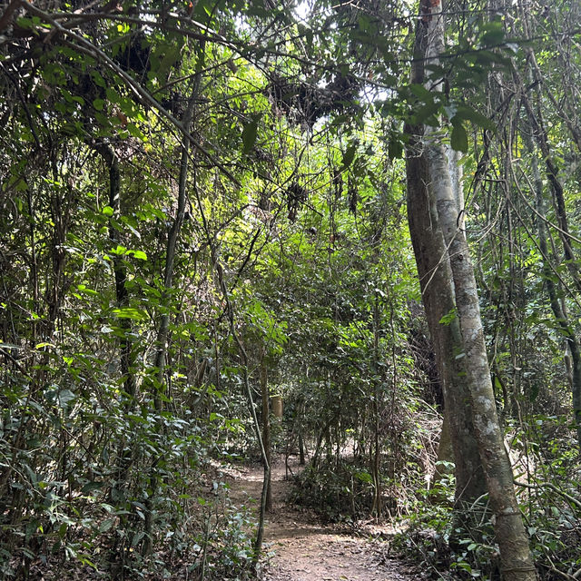 The Kakum National Park in Ghana 🇬🇭 