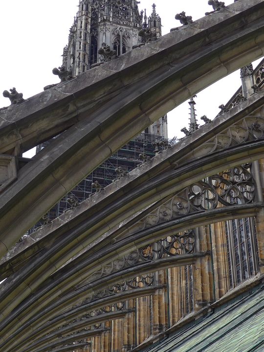 Exploring Ulmer Münster: Tower Ascent and Rooftop Tour