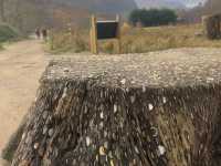Amazing and mesmerising place to visit