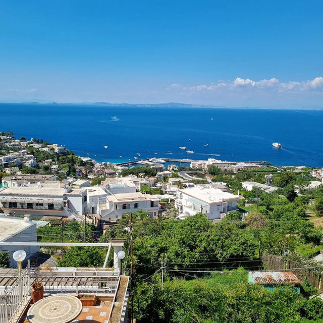 Capri Island 🏖️