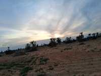 Desert sunset❤️