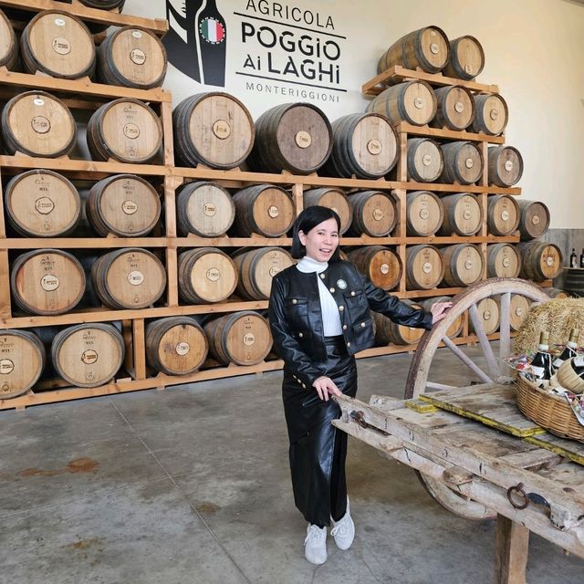 Tuscany Winery experience at Chianti area