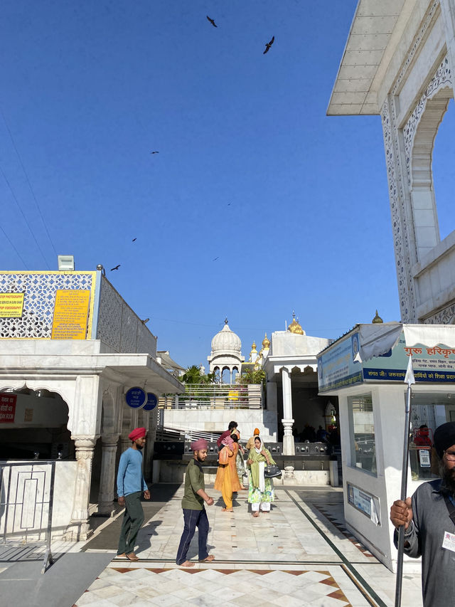 ✈️ New Delhi Layover? Perfect Day Trip Itinerary
